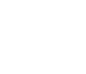 STARTUP RENAISSANCE